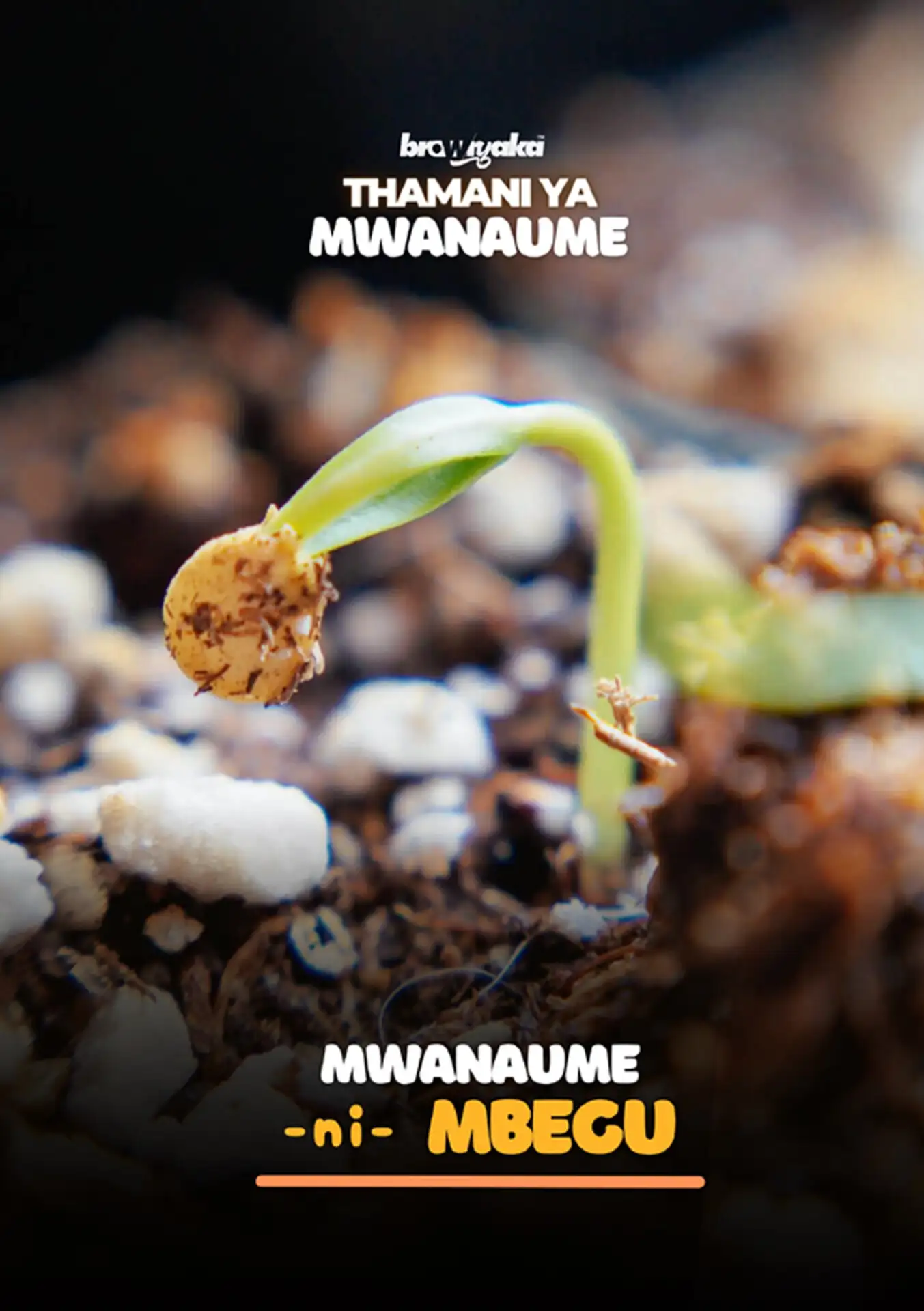 MBEGU (Brownyaka™ Revised Edition)
